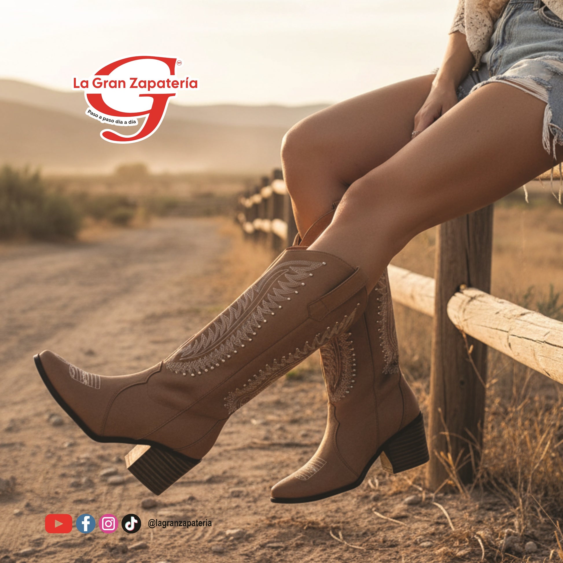 LADY ANACLETA 701 MELLE