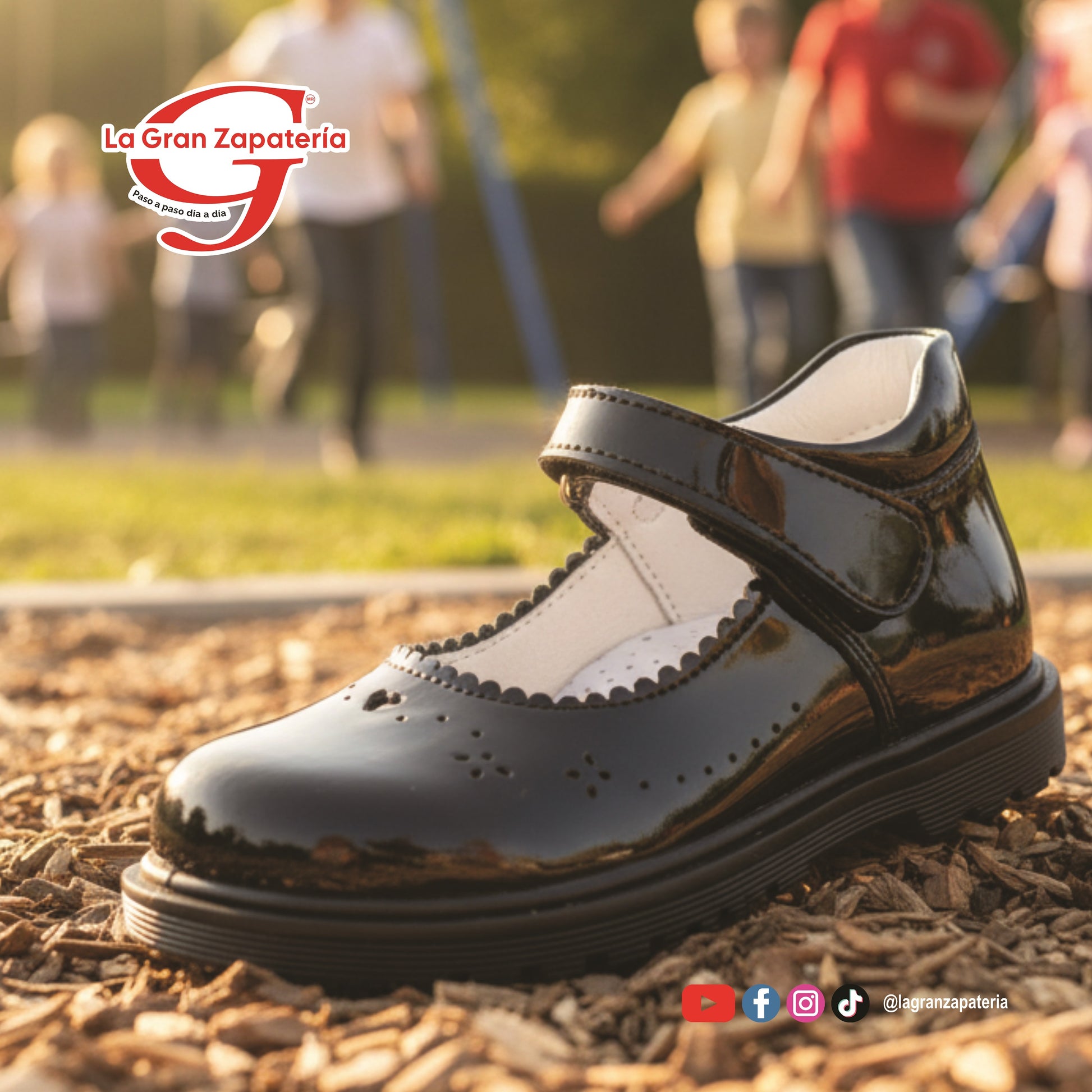 COLOSO 976 CHAROL NEGRO