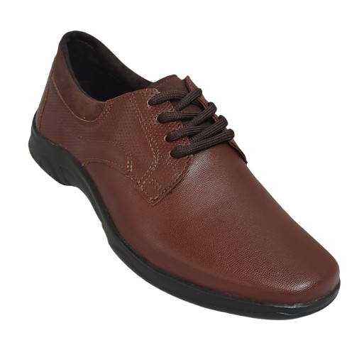 JC BASICC 4091 SHEDRON